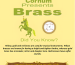 Brass-Cornum_upscayl_3x_upscayl-standard-4x