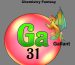 FrontCoverPageFor-Gallant-1