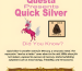 Quick-Silver-Questa_upscayl_3x_upscayl-standard-4x